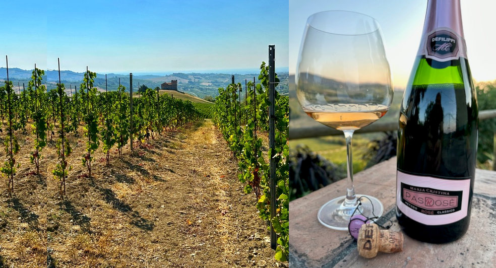 The Oltrepò Pavese Wine Region and Its Sparkling Wines Glass Of Bubbly