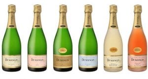 Premier Cru Champagnes – Champagne Dumangin