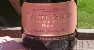 camel valley brut rose photo