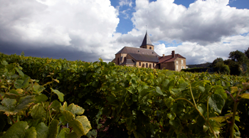 Inside Armand de Brignac Winery, France - COOL HUNTING®