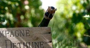 Paul Déthune Blanc de Blancs & Blanc de Noirs