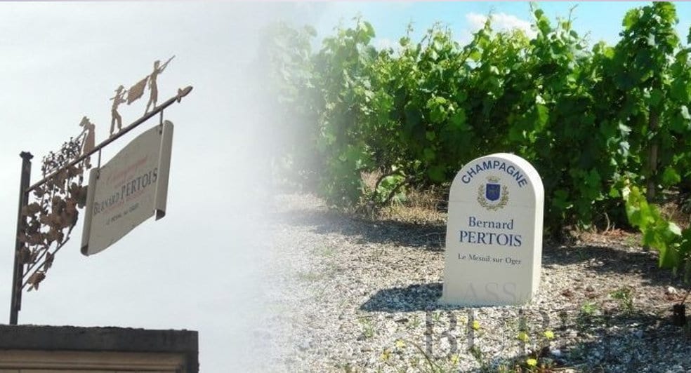 Bernard Pertois Champagne
