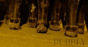 170 year old champagne