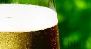 BK Wine Tour to South Africa