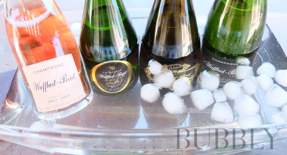 champagne icebuckets styles