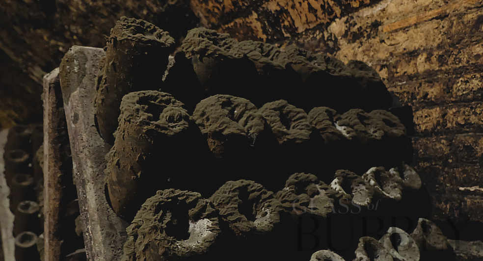 old bottles moss cellar cava rack riddle