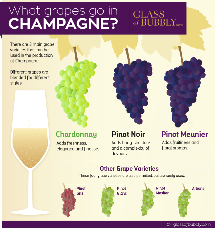 What Grapes go in Champagne