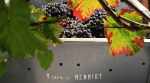 Champagne Henriot