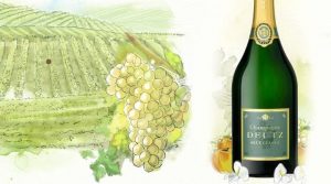 Deutz Cuvées: The Charm