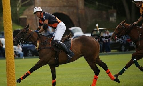 Celebrity Interview: Tom Morley