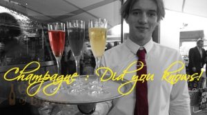 10 Things you probably didn't know about Champagne