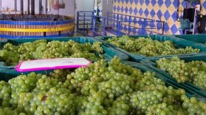 Champagne Dérouillat