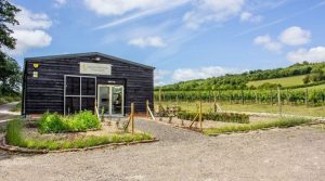 HRH The Duke of Kent to Visit Albury Vineyard