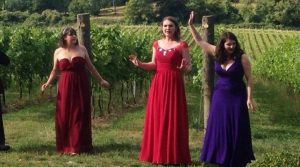 Opera at Albury Vineyard