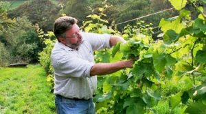 Barry Lewis Appointed CEO for the UKVA