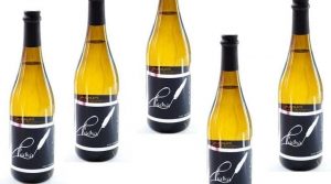 Piuma D.O.C. Garda Sparkling Wine