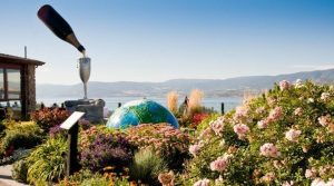 Summerhill Pyramid - Cipes Brut