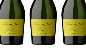 Cono Sur Sparkling Wine from Chile