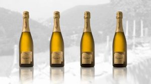 Parigot Crémant de Bourgogne Blancs