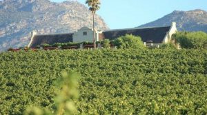 Cuveé La Verne Method Cap Classique Blanc de Blancs Brut 2011