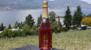 Summerhill Pyramid - Cipes Rose