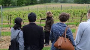 First English Wine Tasting Tour
