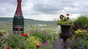 Champagne G. Tribaut