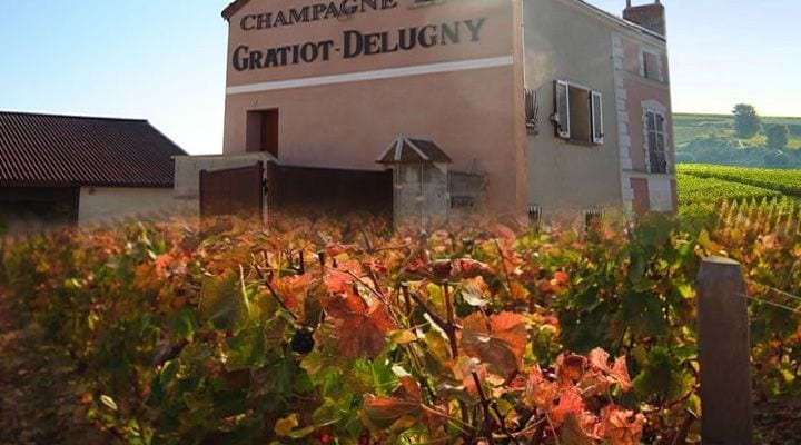Champagne Gratiot-Delugny