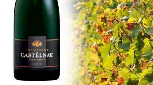 Champagne de Castelnau Brut