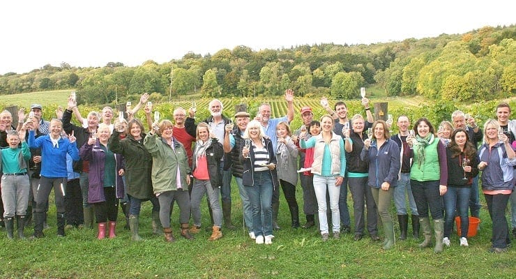 Albury_Grape_Harvest