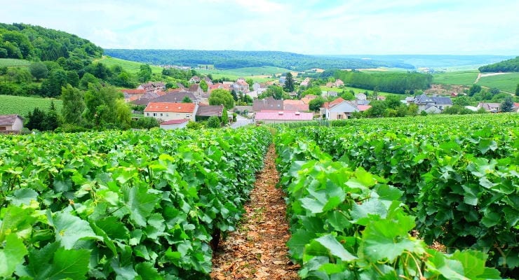 Champagne_Faniel_et_Fils_Village