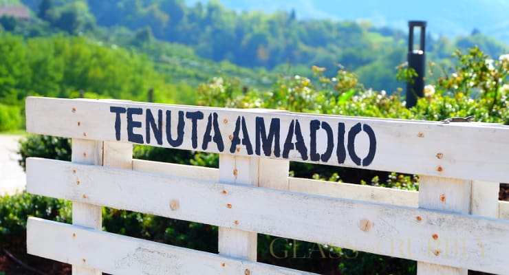 A_visit_to_Tenuta_Amadio_Asolo