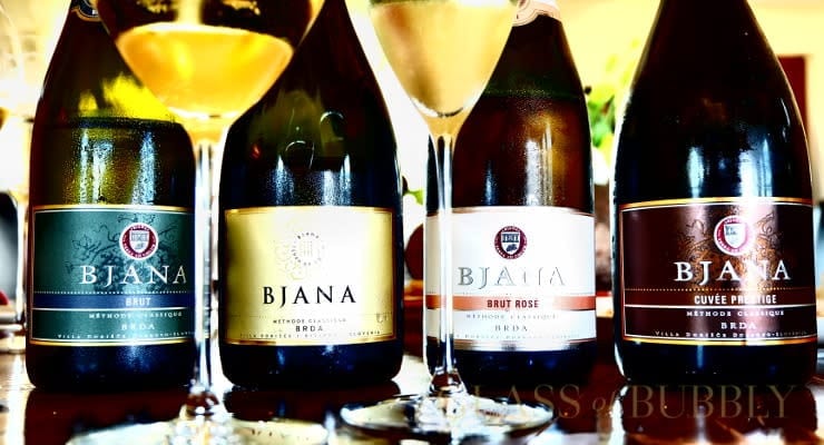 Slovenian_sparkling_wine_bottle_bjana