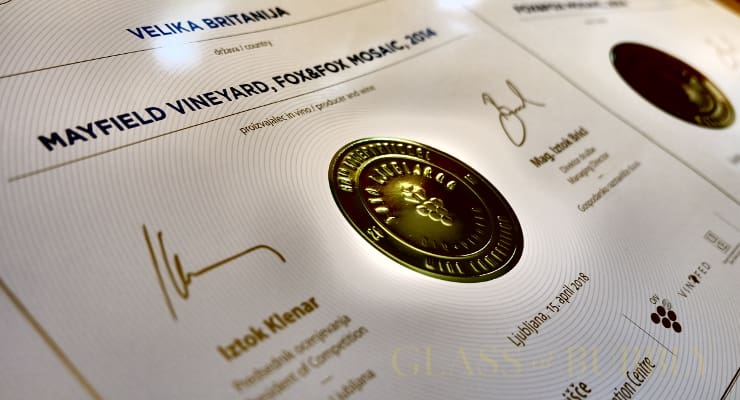 fox_and_fox_slovenia_2018