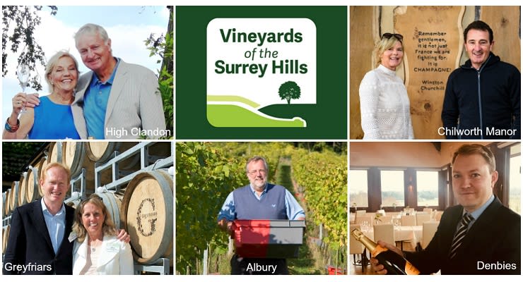 Vineyards_of_the_Surrey_Hills