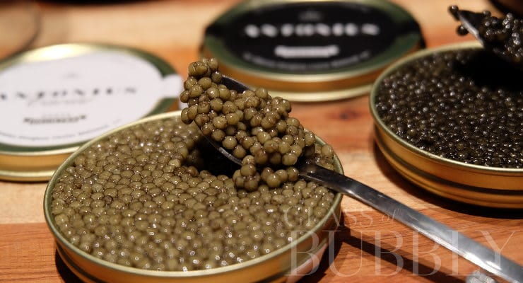 caviar_antonius_close_up