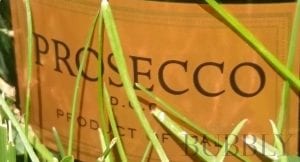 Prosecco Label