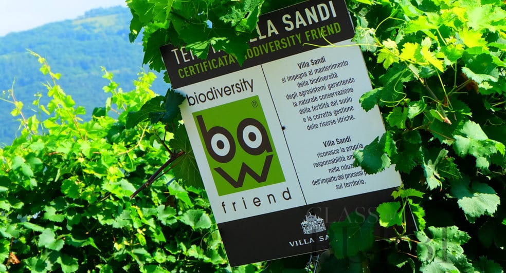 Villa Sandi Prosecco Biodiversity