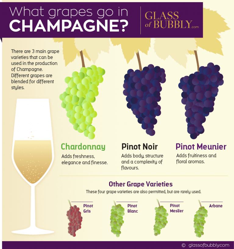 What are the different types of Champagne? Glass Of Bubbly