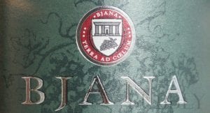 Bjana Slovenian sparkling wine Brut Label
