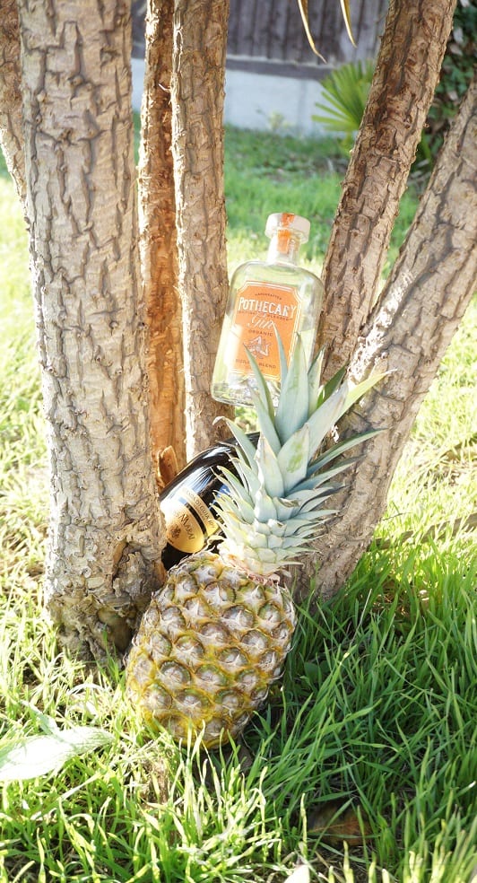Pineapple Cocktail 