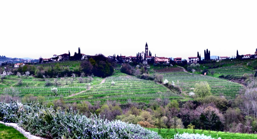 Slovenia winery region - Goriška Brda