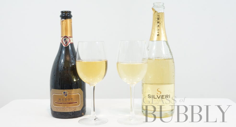 Tasting notes of Silveri and Medot wines