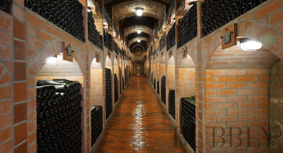 Wine Cellars of Radgonske Gorice