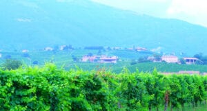 Hills of Prosecco and The Dolomites