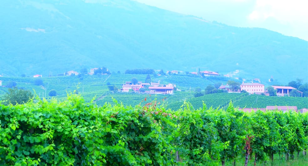 Hills of Prosecco and The Dolomites