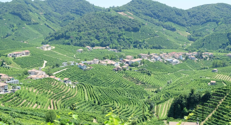 Prosecco Wine Region of Italy
