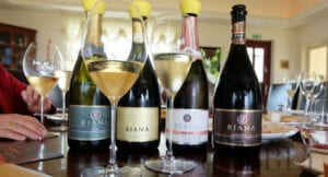 Goriska Brda Bjana Winery