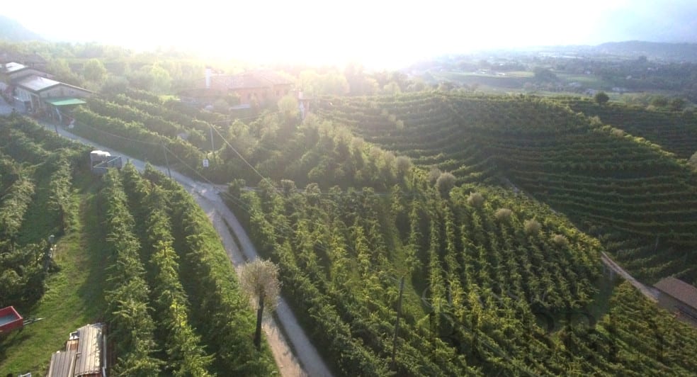 Asolo Landscape