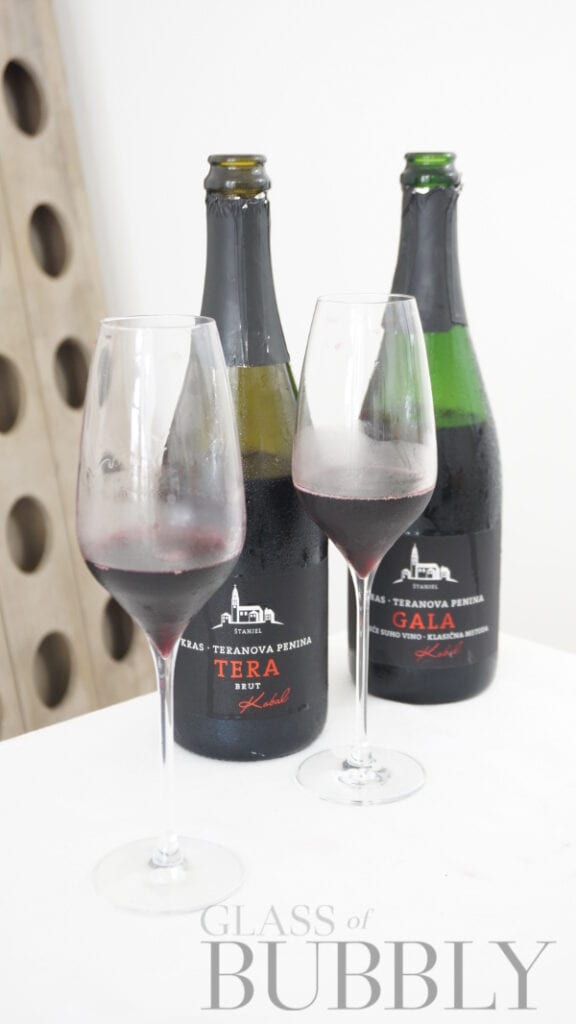 Red Sparkling Wine from Winery Vina Kobal